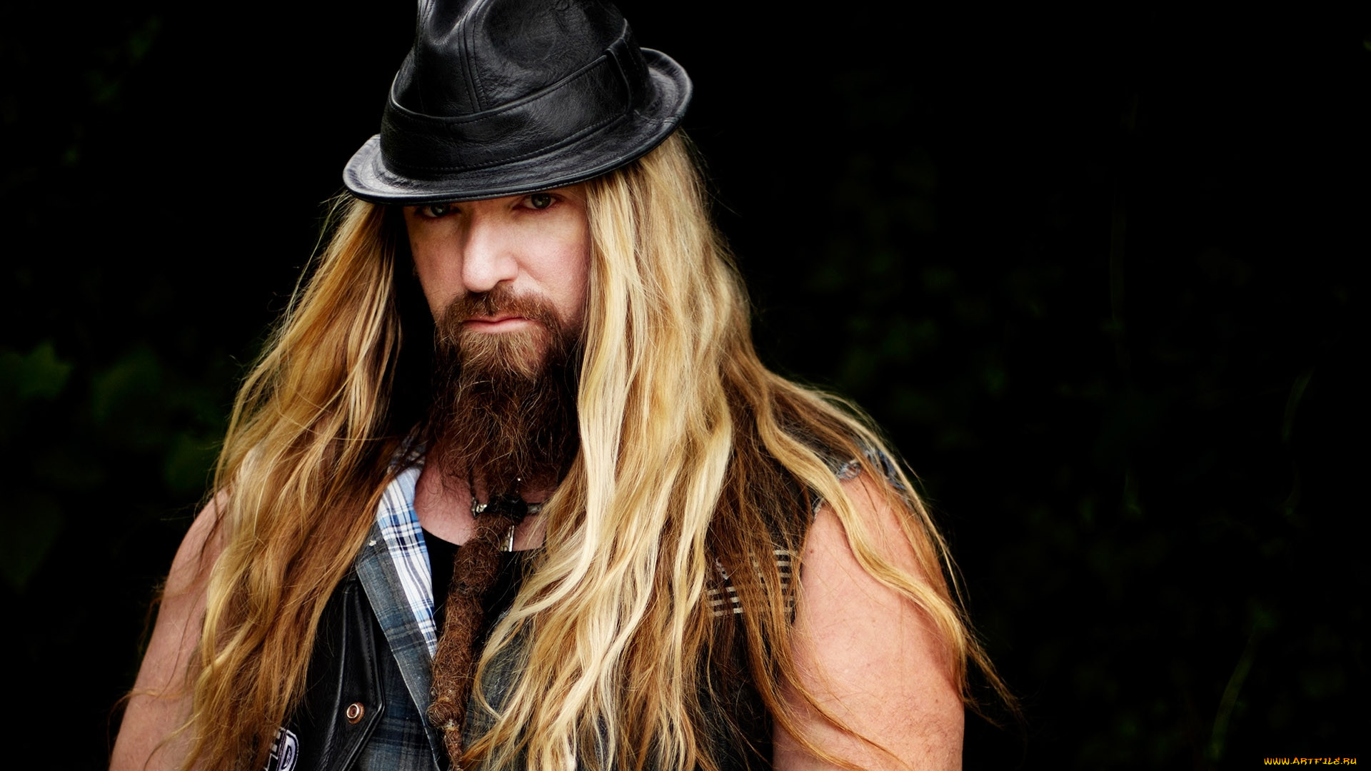 zakk, wylde, , -, , , , , , -
